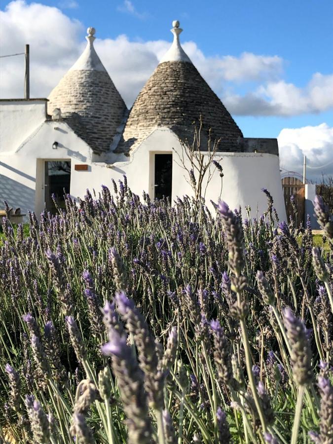 马丁纳弗兰卡Trullo Trilli Puglia别墅 外观 照片
