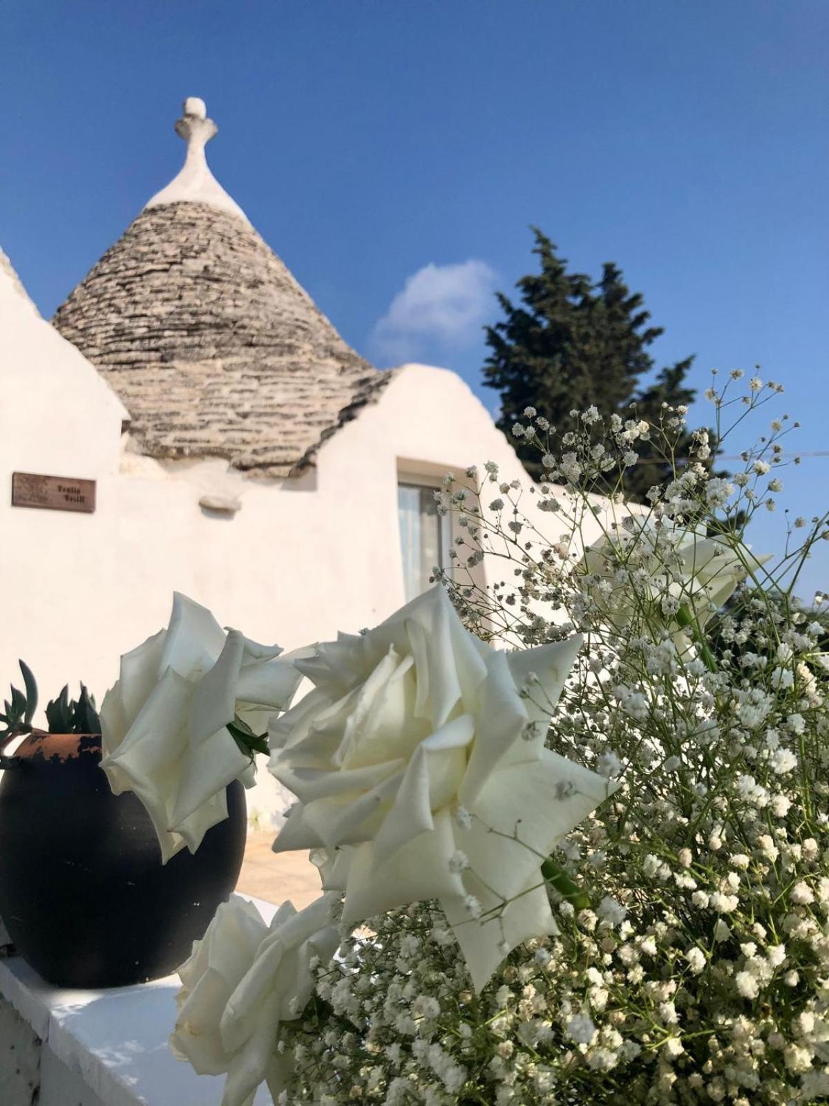 马丁纳弗兰卡Trullo Trilli Puglia别墅 外观 照片