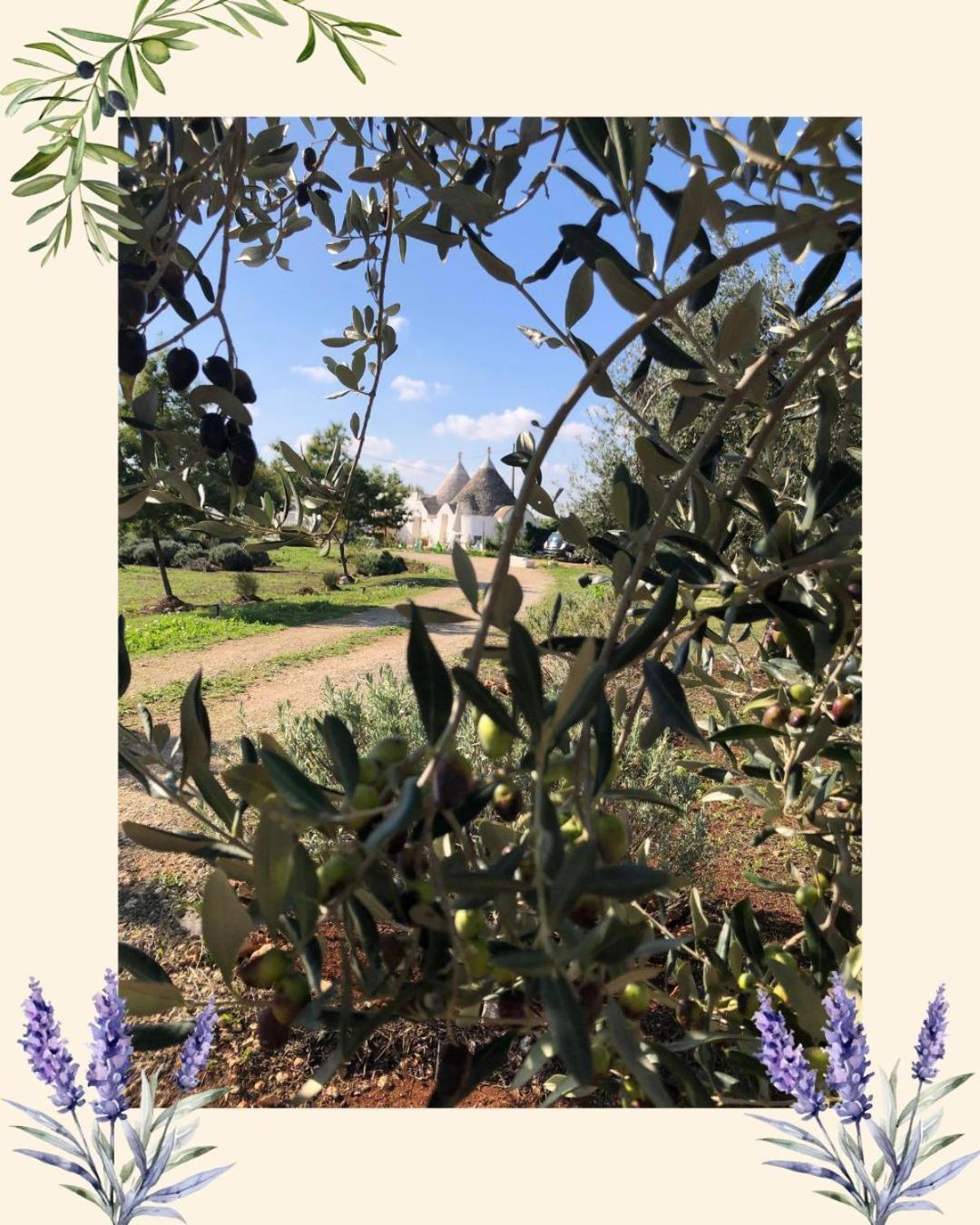 马丁纳弗兰卡Trullo Trilli Puglia别墅 外观 照片